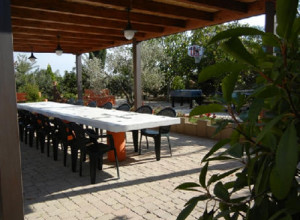 image7 Le Betulle